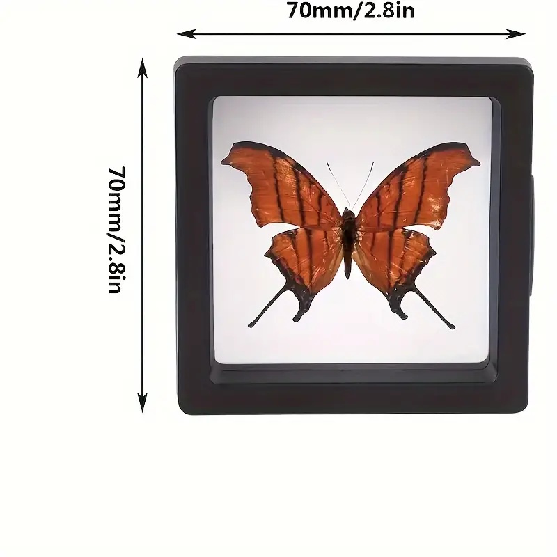 20Pcs Clearview 3D Floating Di - Jewelry Making Tray recension och pris